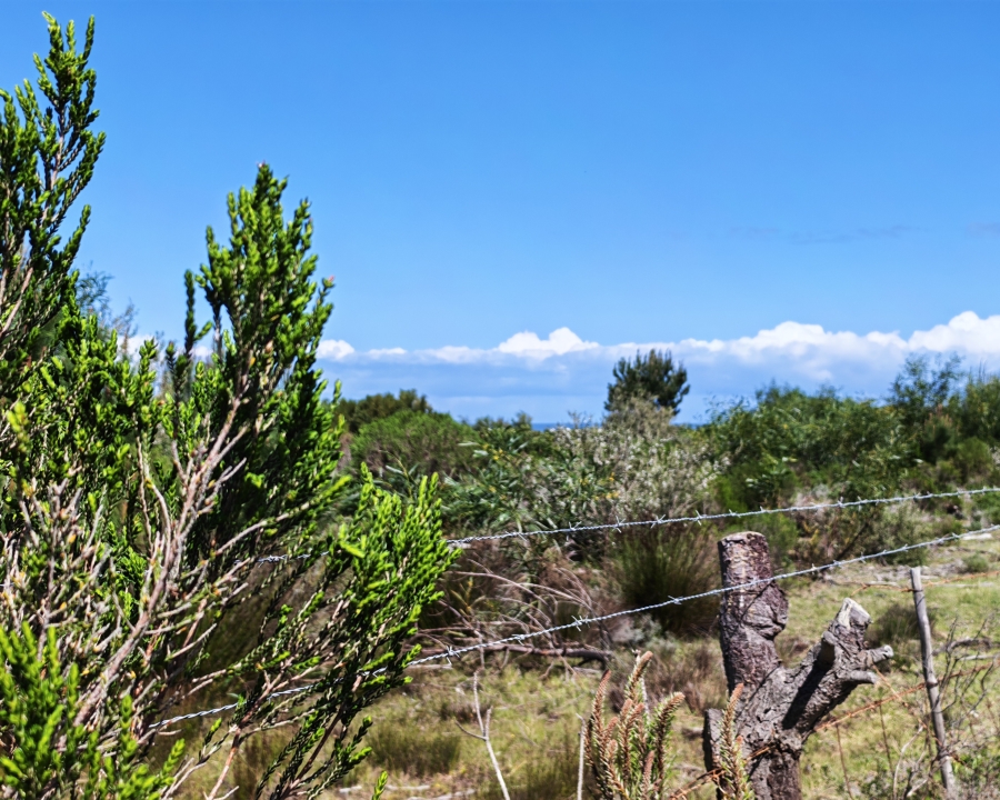 0 Bedroom Property for Sale in Heuningkloof Western Cape